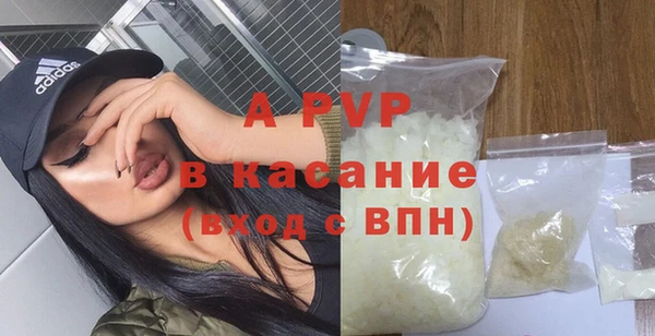 прущие крисы Магас